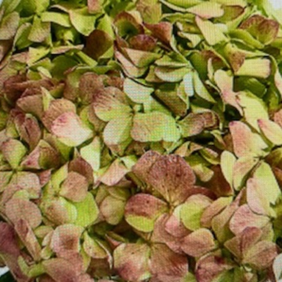 ~Welcome Poshers~ - Picture 1 of 8